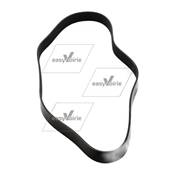 COURROIE TRAPEZOIDALE A NERVURES*