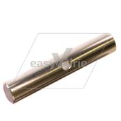 AXE DE PIVOT - JOHNSTON*