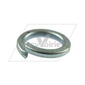 RONDELLE GROWER M14 - JOHNSTON*