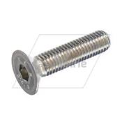 VIS DE MOTEUR DE BALAIS EN INOX *