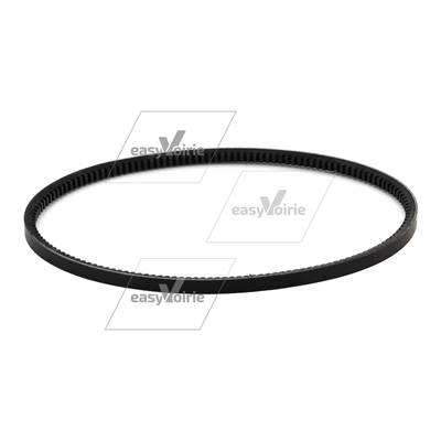 COURROIE TRAPEZOIDALE CLEANGO 500 - SCHMIDT*