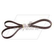 COURROIE ALTERN/PPE EAU -SCHMIDT*