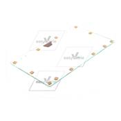 VITRE DE PLANCHER 500X310 - RAVO*