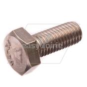 Hex Head Screw - M10Cx25 *