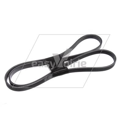 COURROIE CRANTEE PLATE ALTERNATEUR SWINGO 200 - SCHMIDT*