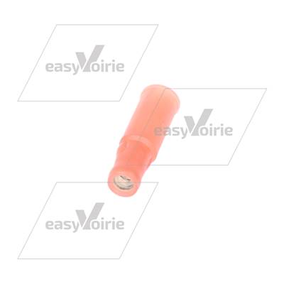 COSSE CYLINDRIQUE FEMELLE - FAUN* 