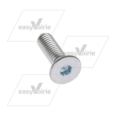 Vis vertical  hexagone intérieur DIN/ISO 7991/10642 M6x20 Zingué 10.9