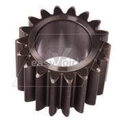 PIGNON SATELLITE - BUCHER*