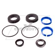 Kit - Seal, Cylinder Assy 28305209M JOHNSTON*