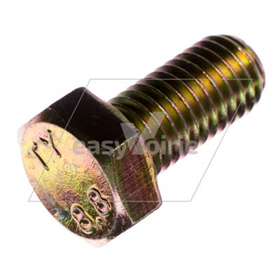 VIS H M12/25 CL8.8 - MATHIEU*