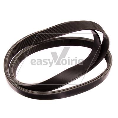 COURROIE ALTERNATEUR  - BUCHER*