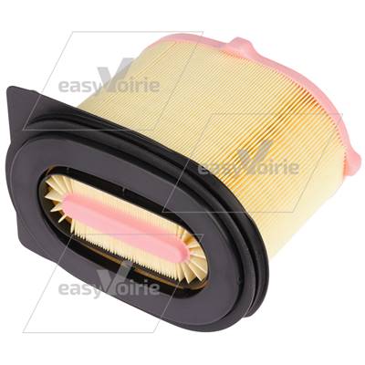 CARTOUCHE FILTRE AIR - DULEVO*