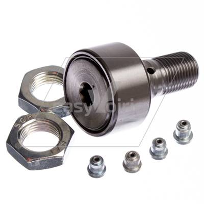 GALET DE CAME - FAUN*