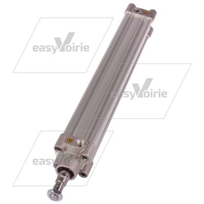 VERIN PNEUMATIQUE BARRE ACTIVE OMNIMAX - TERBERG*