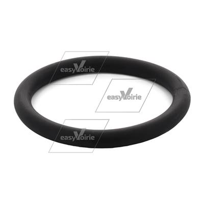 JOINT ROND DE HAUT DE BUSE DIAM 250 EPS 31  - BUCHER*