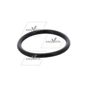 Seal - O-Ring For 3/4 Thread 277148 JOHNSTON*