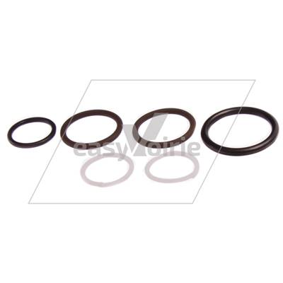 Seal Kit 84795 JOHNSTON-*