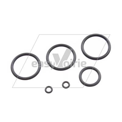 KIT DE JOINTS POUR BLOC DE CONTROLE GEESINK GPM3 *