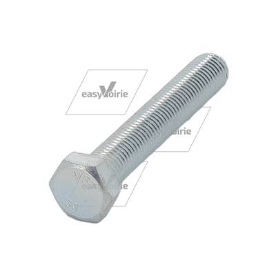 VIS * DIN/ISO 931/4014 M12x100 zinguée 8.8*