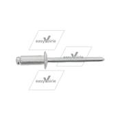 RIVET 4.8*12- HAKO*