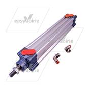 VERIN PNEUMATIQUE D'OUVERTURE TRAPPE - SCARAB*