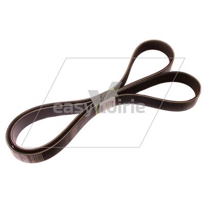 COURROIE ALTERNATEUR - RAVO*