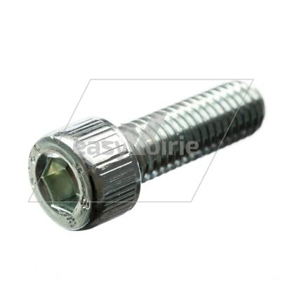 VIS 8X25 TETE BTR DIN912 - DULEVO*