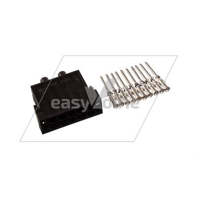 BASE DE CONTACT MALE 10PTS EQUIPE