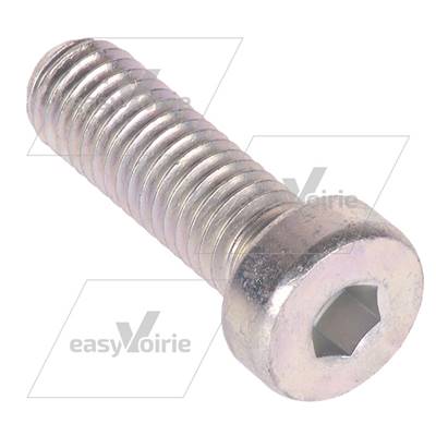 VIS DE VERIN CHC BASSE M8X25 CL8.8 DIN 7984*