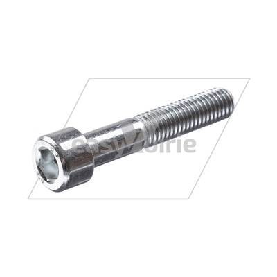 VIS CHC M10X55 CL 8.8 ZING - FAUN*