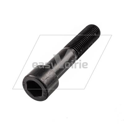 VIS CHC M20-100 /50 CL 8.8 ZN - FAUN*