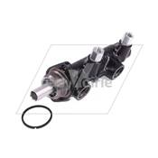 MAITRE FREIN  - BUCHER*