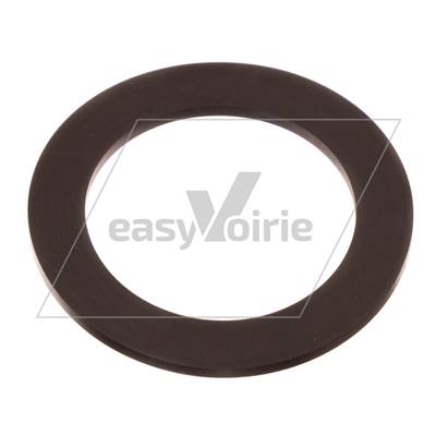 SEALING RING WATER FILTER- JOHNSTON* 