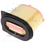 CARTOUCHE FILTRE AIR - DULEVO*