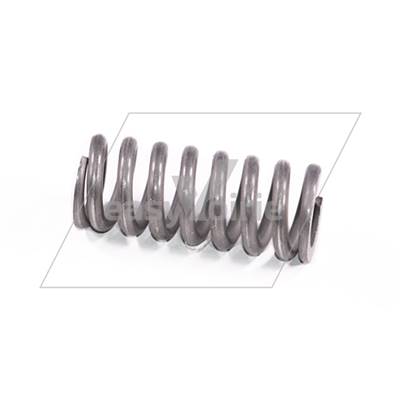 RESSORT DE PRESSION BASCULE RENVOI MP- OLYMPUS- TERBERG*