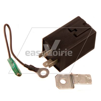 CENTRALE CLIGNOTANTE 24V DULEVO*