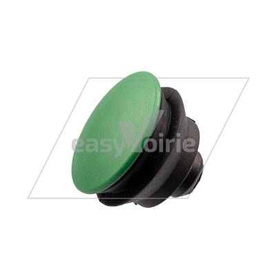 BOUTON VERT  SANS CORP*