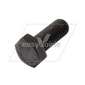 VIS TH M12X30 10.9 BRUT*