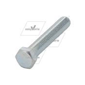 VIS * DIN/ISO 931/4014 M12x100 zinguée 8.8*