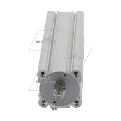 VERIN PNEUMATIQUE DOUBLE EFFET DIAM 80 COURSE 250 - SCHMIDT*