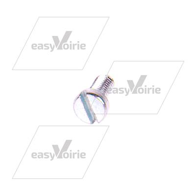 VIS M5X10 TETE PLATE FENDUE - SCHMIDT *