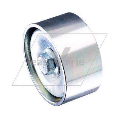 GALET TENDEUR FIXE RAVO/MATHIEU*