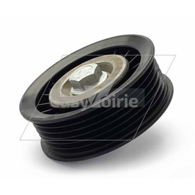 POULIE FXE COURROIE STRIE ACCESSOIRE - BUCHER*- DULEVO*