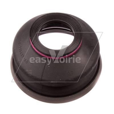 CAPUCHON ANTI POUSSIERE - RAVO*