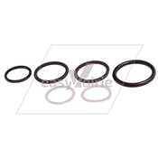 Seal Kit 84795 JOHNSTON-*