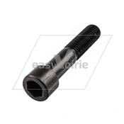 VIS CHC M20-100 /50 CL 8.8 ZN - FAUN*