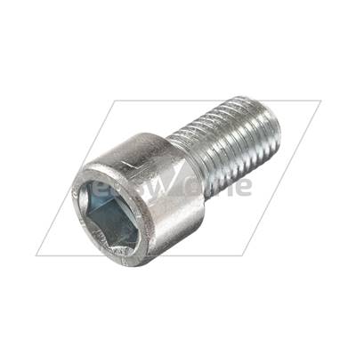 VIS M16X30 8,8 ZINGUEE