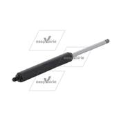 VERIN PNEUMATIQUE BALAI LATERAL VS20  - BUCHER*