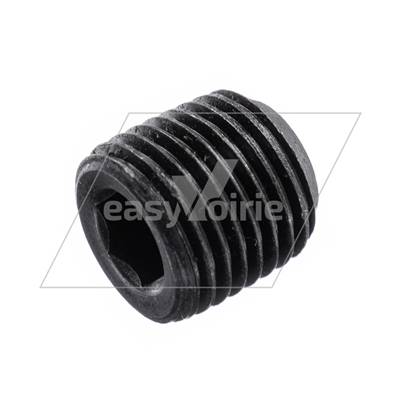 Plug - Tapered 1/4 BSP 9756 JOHNSTON*