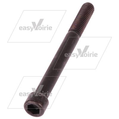 VIS CHC M12X120 8.8 - FAUN*